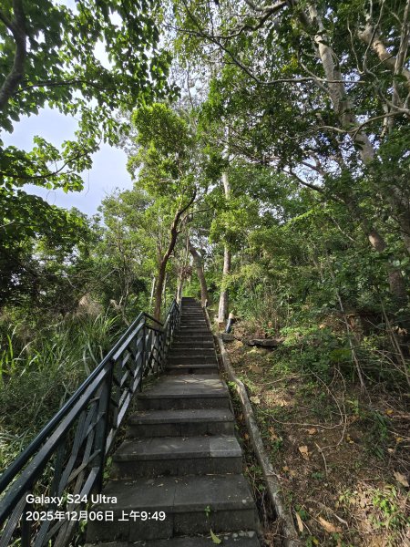 2025-12-06微笑山線：【二格山系】和美山螢火蟲段2956819