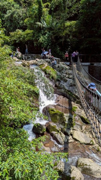 114.04.27草山觀瀑吊橋-紫明溪步道之旅2771756