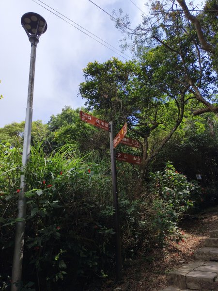 [百山百鳥尋旅-15/15] 2025_0929 硬漢嶺步道(觀音山)2900999