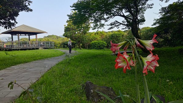 大武崙山、情人湖3046543