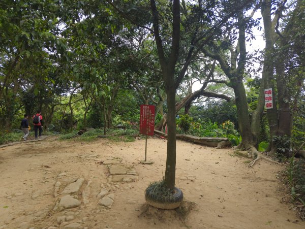 2025.08.30－微笑山線：【大棟山系】2874481