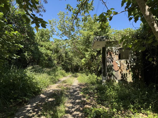 2025_1018 花蓮山步道2921273