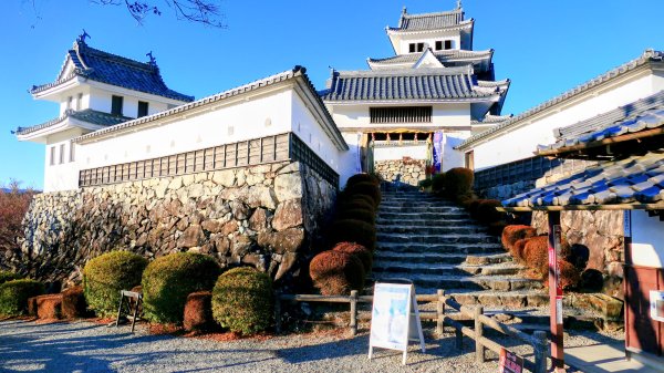 郡上八幡城的白帆2982605