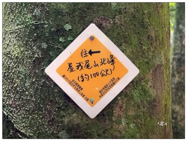 屋我尾山 北登山口 (大雪山林道31.3K)2985534
