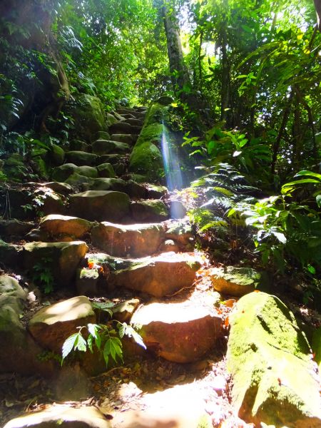 【湖景步道】石門水庫新溪洲山147825