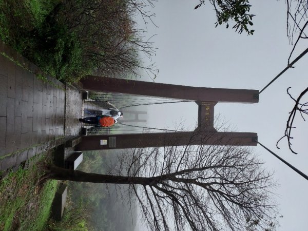 小油坑～七星山～冷水坑～擎天崗1940755