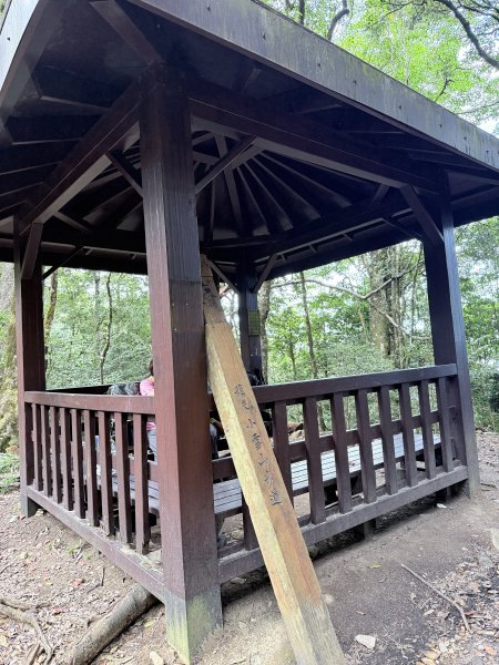 船型山神木悠遊    2025.09.222893818