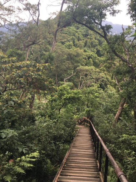 新店小獅山登山步道353295