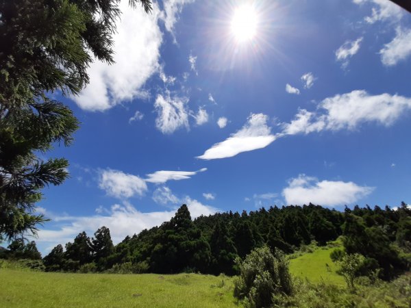 臺北大縱走3：擎天崗、頂山石梯嶺步道669938