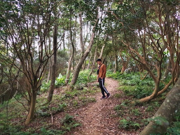 土城天上山，大暖尖山，猴洞，清水石門山，桐花公園，賞螢步道，承天禪寺，桃園福源山1645622