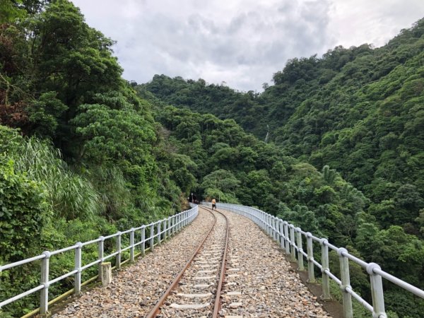 嘉義連峰獨立山大巃頂紅楠坑觀音石阿拔泉633124