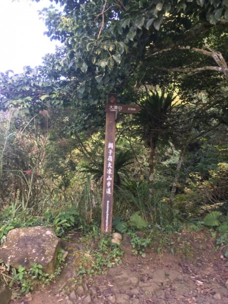 20181026-大凍山初登444949