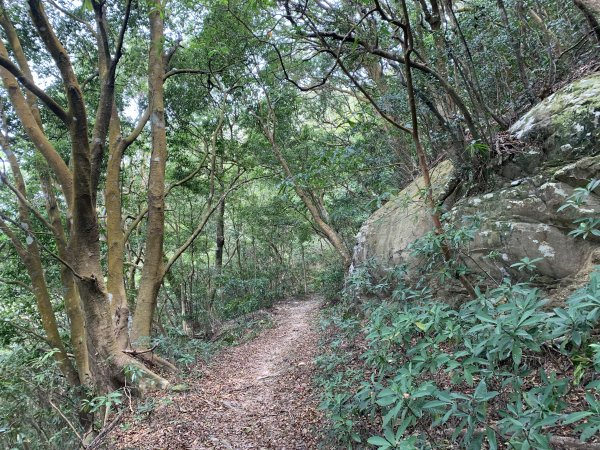 20250404屏東北獅子頭山-霧里乙山2757448