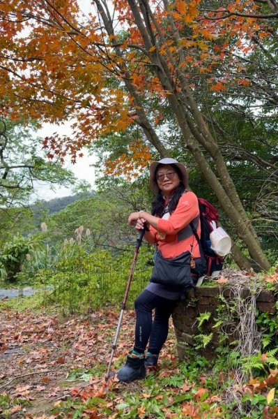登峰古圳訪高頂山 北五指山 出荷蘭古道 快閃聖人瀑布2982317