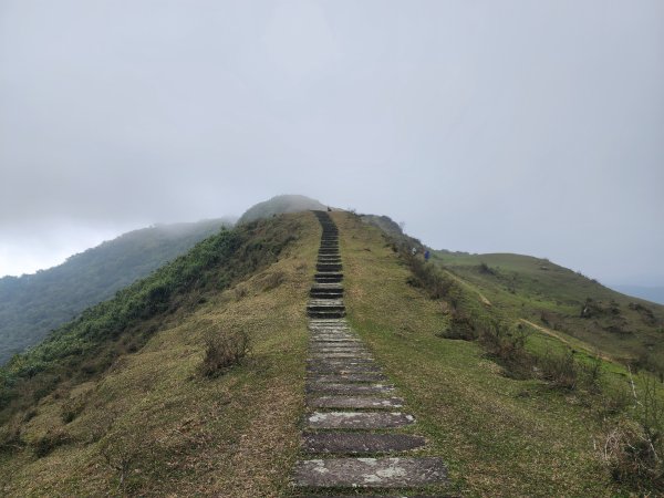小百岳No.82⛰灣坑頭山3003067