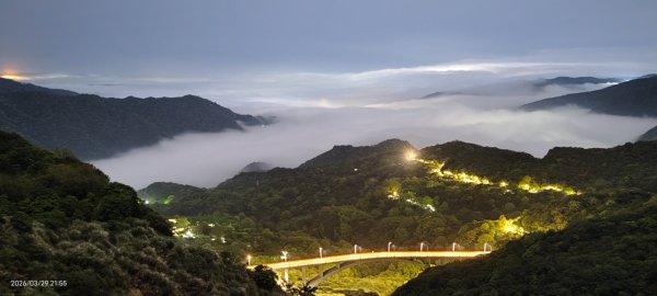 雲山水花鳥蝶-天龍國阿伯的日常 3/29-303026174