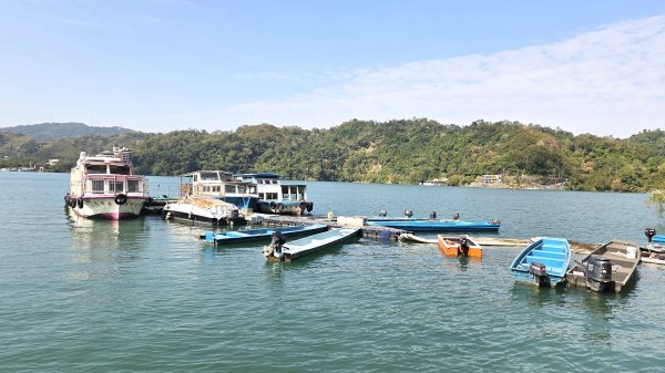 桃園復興枕頭山及薑母島偶遇穿山甲的悠閒O型走2984227