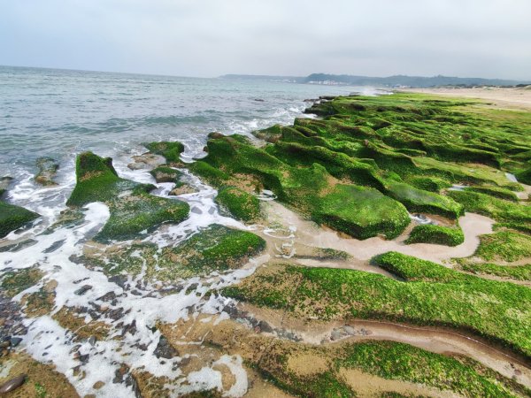 富貴角燈塔老梅綠石槽2781658