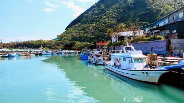 洄瀾東海岸3006716