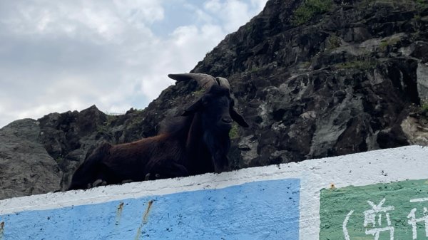 蘭嶼三天三夜-紅頭山小百岳完百小旅行2752625