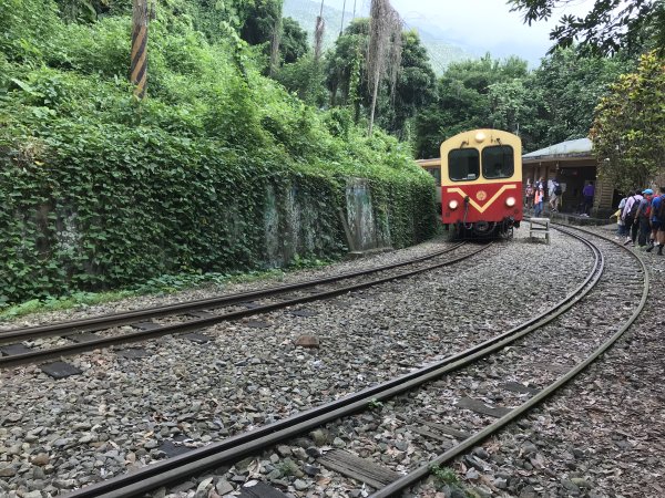 109年9月6日嘉義 獨立山步道1095638