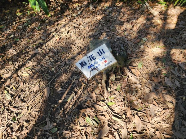 20260110大湖公園捷運站至擎天崗2993204