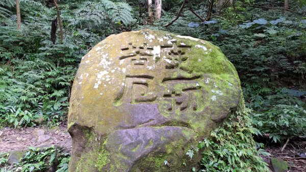 雙石縱走加碼蓬萊仙島山2997555