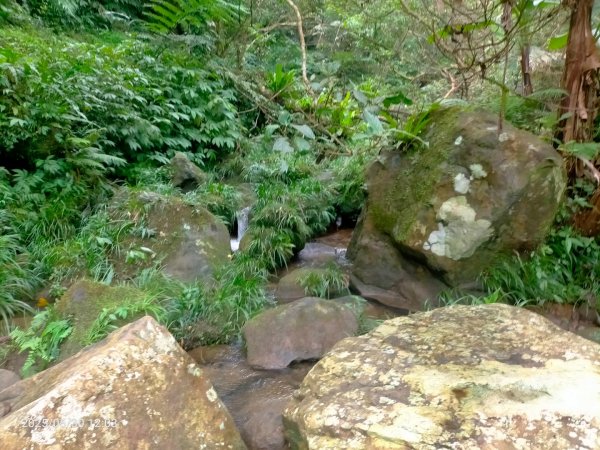 白石湖+打鐵寮古道2824177