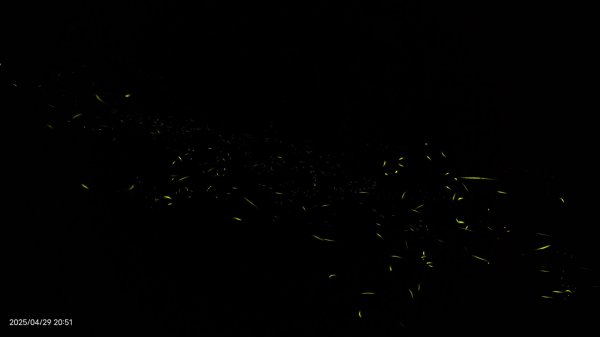 翡翠水庫壩頂 #火燒雲雲海 #日出雲海 #鱷魚島 #藍腹鷴 4/292773436