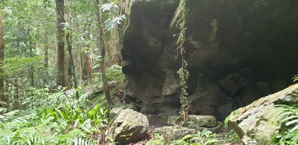 拉卡山東滿步道O型642685