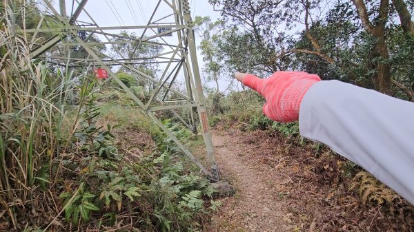 20260127三通嶺山.三義山(大桁茂山).慈濟山.大坪山大O走2989976