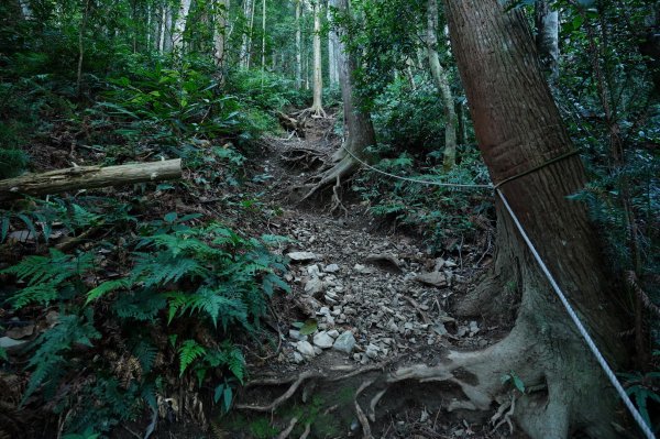 新竹 尖石 高台山、島田山2327031