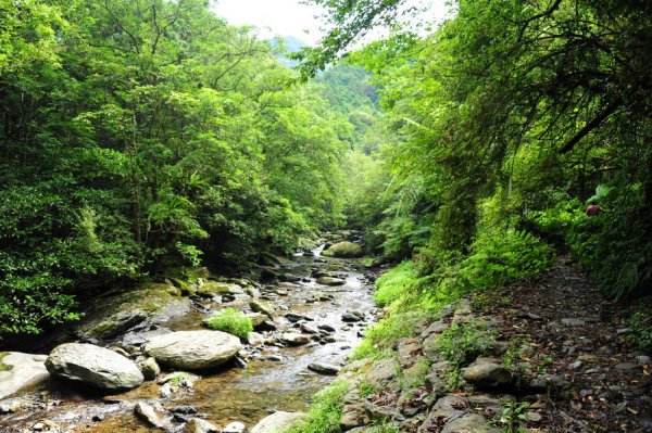 【新北市】愛上夏天 來去桶后慢漫遊