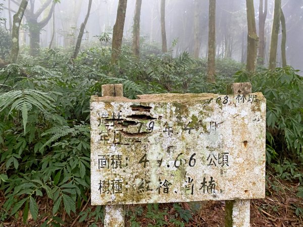 終於登上百志興保山順撿永安山    2021/4/191356944