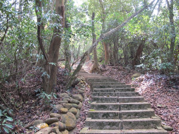 毘盧禪寺步道942235