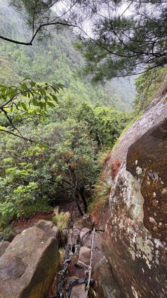 迎新（2026元旦2975613