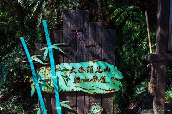 [台北]大崙頭山、碧山巖、忠勇山2746148