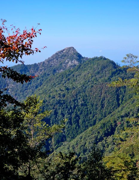 稍來山賞楓2962571