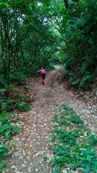 小百岳【尾寮山】905221