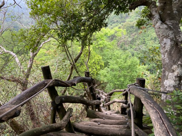 大坑2號原路來回2130471