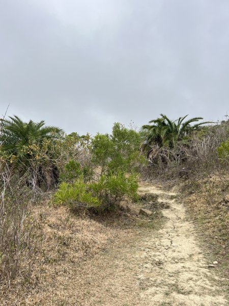 小百岳-大山母山2752553