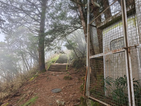 [山海圳_聖山之路_第二段1/4] 2026_0802 鹿林山3109120