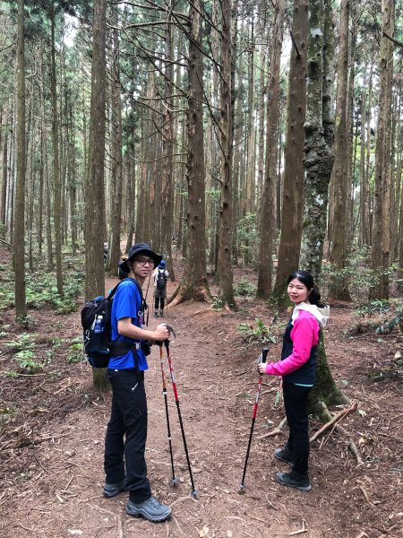 中級山-高島縱走2888442