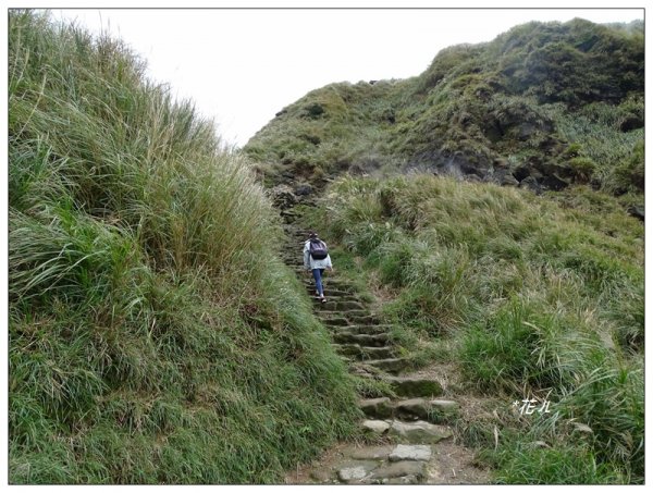 台北/七星山登山步道730548