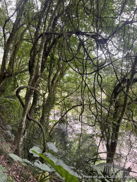 【新竹縣】親民又原始的馬胎古道＋南坪古道2991158