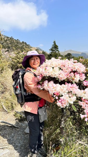 合歡東峰、小奇萊賞玉山杜鵑2542725