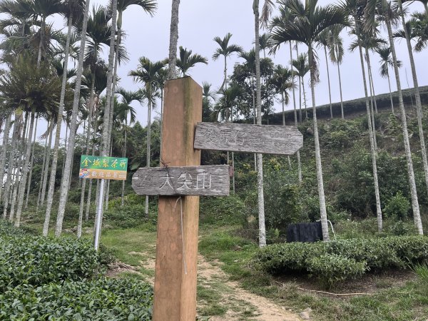 2023_0429_挑筍古道2138232