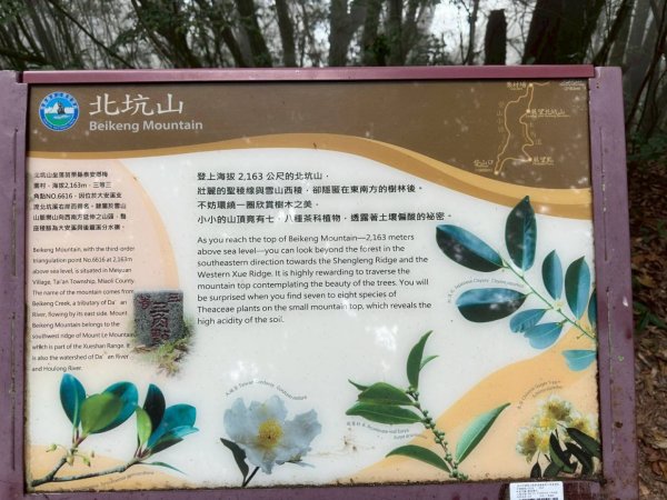 20251014雪見遊憩區 🚴‍♂️咖搭車走司馬限林道上東洗水山兩刷北坑山至大板根2916391