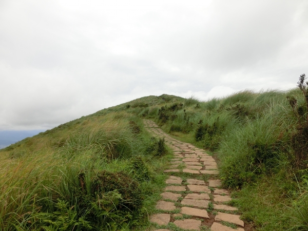 魚路古道．擎天崗．竹篙山94435