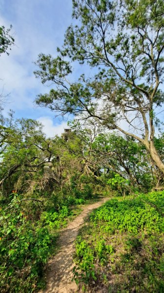 金門：后盤山金中師事件、蔡厝古道太武山2487809